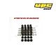 Citroen Saxo VTS 1.6 16v - Piper Cams Пружини за клапани комплект