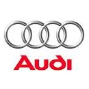 Chip for Audi A3 8L