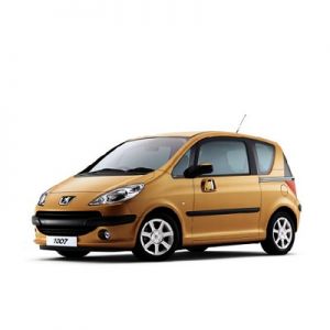 Chip for Peugeot 1007