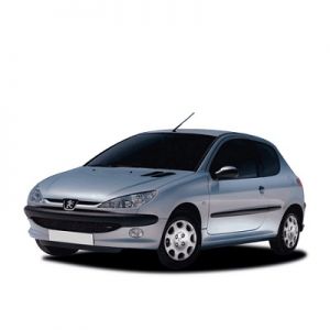 Chip for Peugeot 206