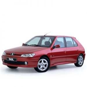Chip for Peugeot 306