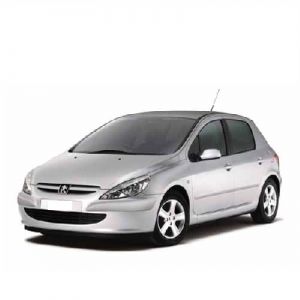 Chip for Peugeot 307