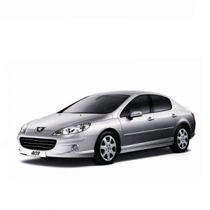 Chip for Peugeot 407