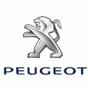 Chip for Peugeot 605