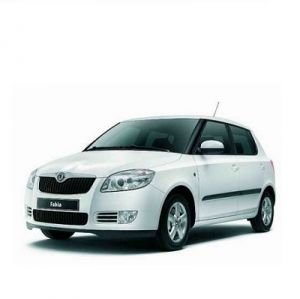 Chip for Skoda Fabia