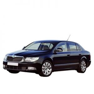 Chip for Skoda Superb II